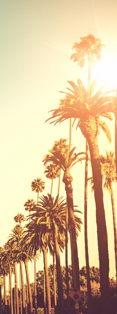 Beverly Hills Schools